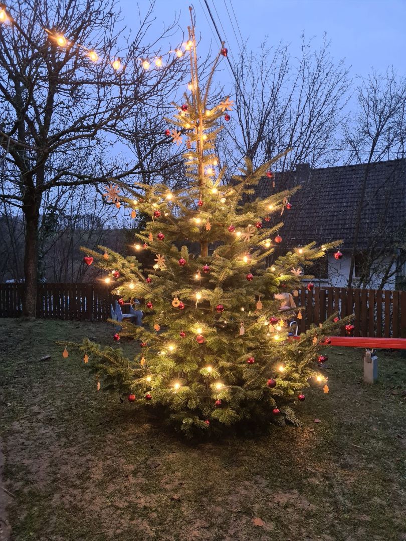 Weihnachtsbaum in Isert am Spielplatz 2025