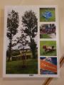 Fotobuch Isert